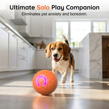 🔥🐶Smart Auto-Bouncing Dog Ball 🐾Keeps Your Dog Moving, Chasing And Engaged—Even When You’re Busy