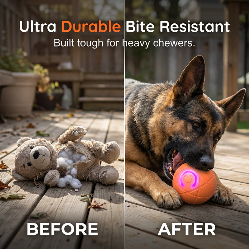 🔥🐶Smart Auto-Bouncing Dog Ball 🐾Keeps Your Dog Moving, Chasing And Engaged—Even When You’re Busy