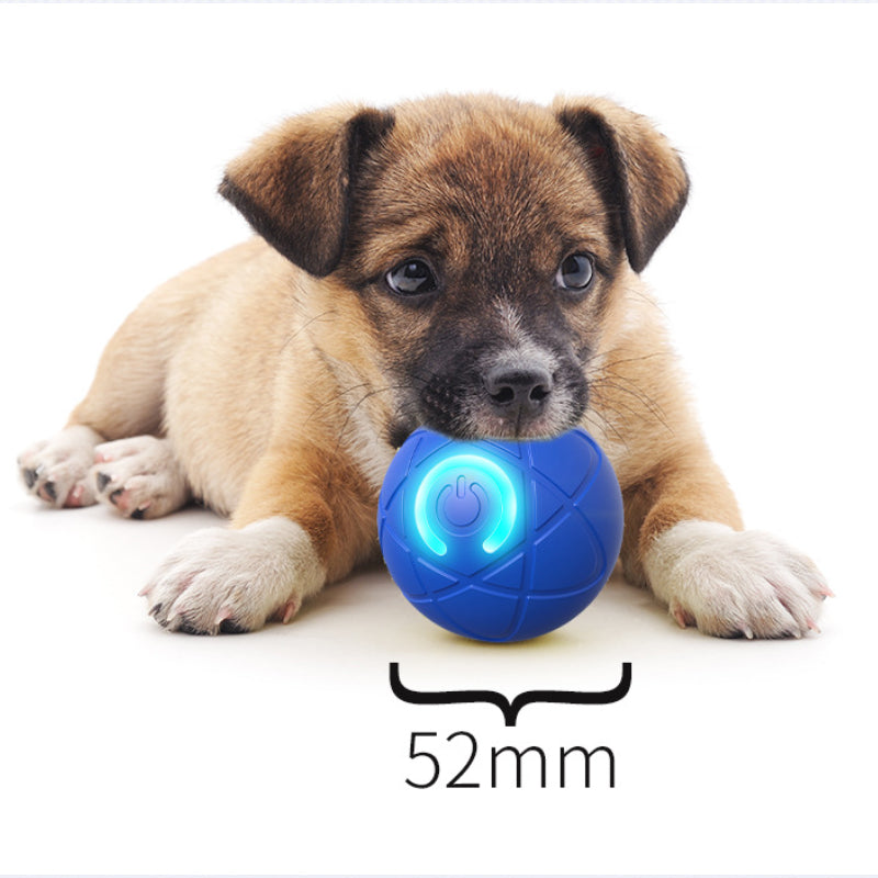 🔥🐶Smart Auto-Bouncing Dog Ball 🐾Keeps Your Dog Moving, Chasing And Engaged—Even When You’re Busy