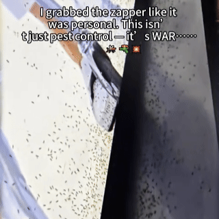 🦟 Loftpromo® 2-in-1 Electric Bug Zapper – Electric Fly Swatter & Rechargeable Mosquito Killer Lamp with Dual-Mode Protection🏠