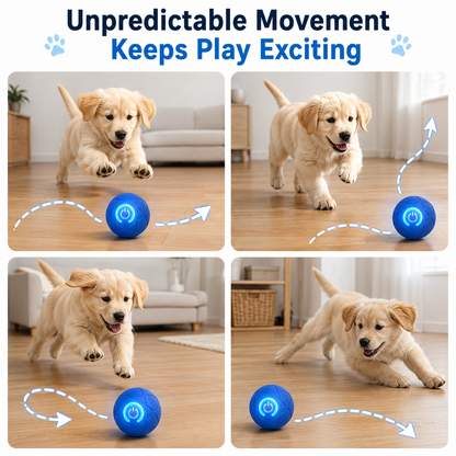 🔥🐶Smart Auto-Bouncing Dog Ball 🐾Keeps Your Dog Moving, Chasing And Engaged—Even When You’re Busy
