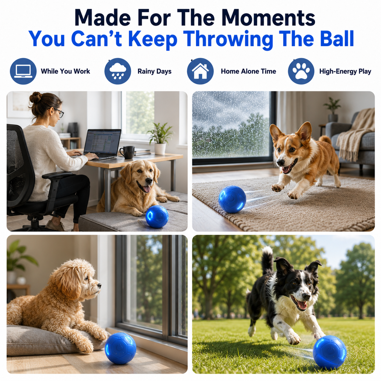🔥🐶Smart Auto-Bouncing Dog Ball 🐾Keeps Your Dog Moving, Chasing And Engaged—Even When You’re Busy