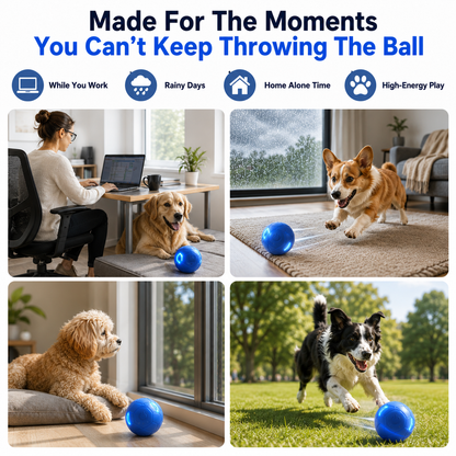 🔥🐶Smart Auto-Bouncing Dog Ball 🐾Keeps Your Dog Moving, Chasing And Engaged—Even When You’re Busy